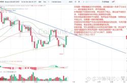 Solana(SOL)价格深度分析：潜在上涨行情与风险提示